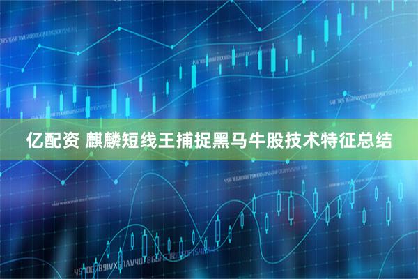 亿配资 麒麟短线王捕捉黑马牛股技术特征总结