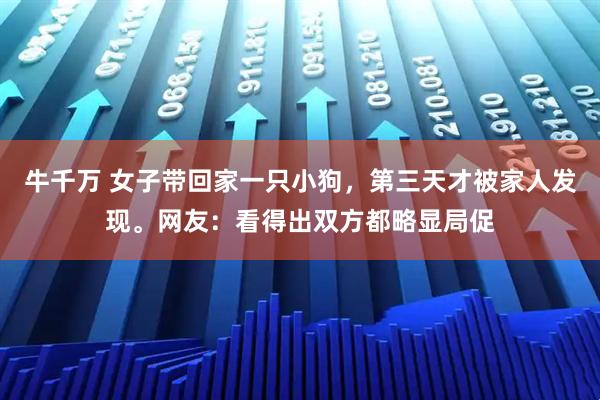 牛千万 女子带回家一只小狗，第三天才被家人发现。网友：看得出双方都略显局促