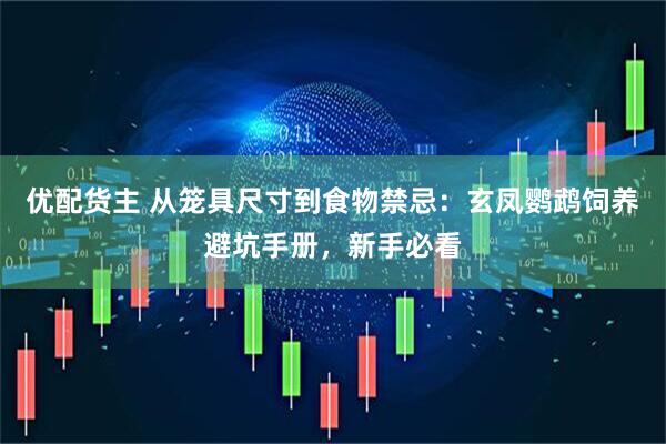 优配货主 从笼具尺寸到食物禁忌：玄凤鹦鹉饲养避坑手册，新手必看
