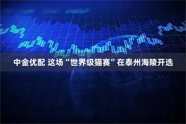 中金优配 这场“世界级猫赛”在泰州海陵开选
