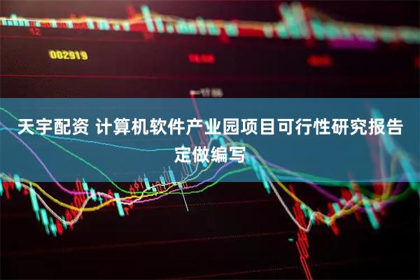 天宇配资 计算机软件产业园项目可行性研究报告定做编写
