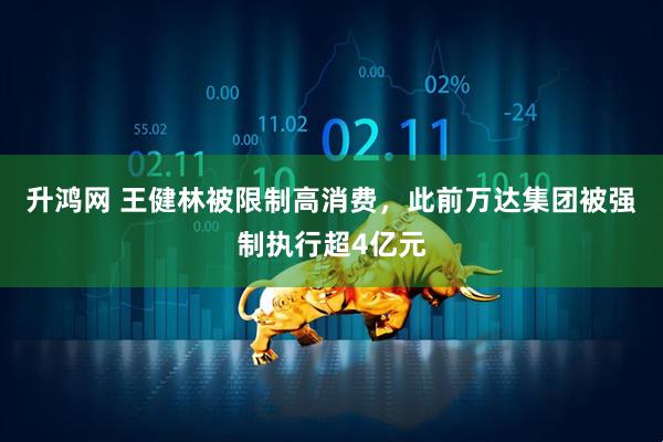 升鸿网 王健林被限制高消费，此前万达集团被强制执行超4亿元