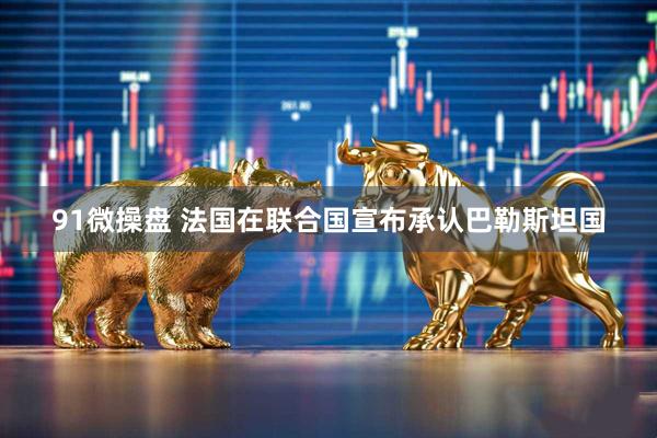 91微操盘 法国在联合国宣布承认巴勒斯坦国