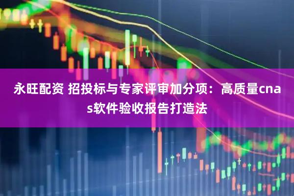 永旺配资 招投标与专家评审加分项：高质量cnas软件验收报告打造法
