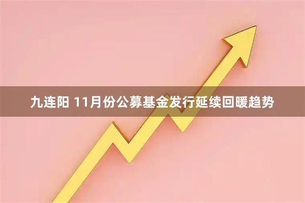 九连阳 11月份公募基金发行延续回暖趋势