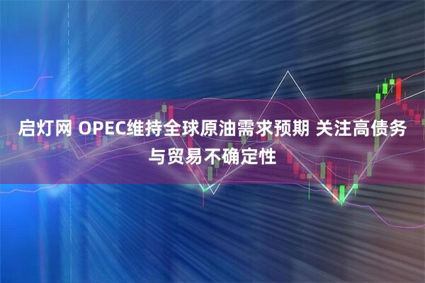启灯网 OPEC维持全球原油需求预期 关注高债务与贸易不确定性